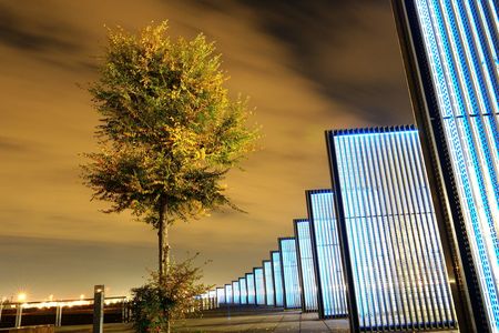 秋色の木とモニュメント