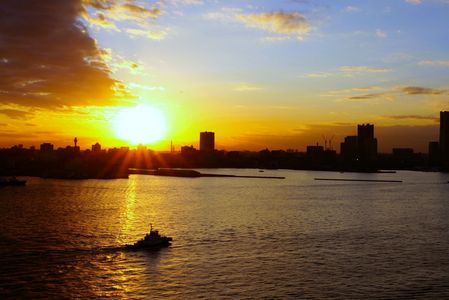 帰ってきました