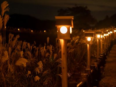 曽爾高原山灯り