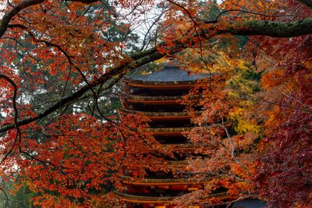 談山神社の紅葉