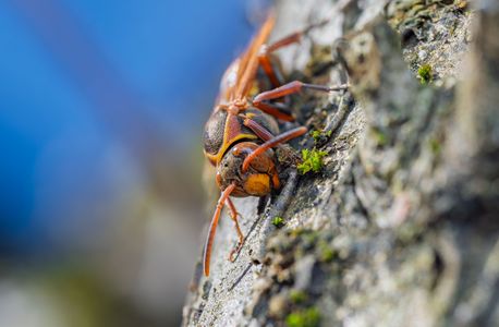 小春日和の温もりを感じて