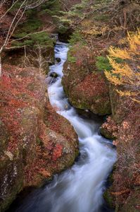 龍頭の滝（上流）