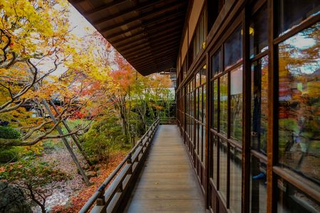 もみじの永観堂