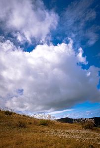 大いなる秋の到来