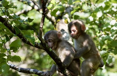 朝ごはんを求めて