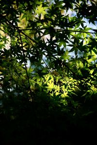 まだまだこれから