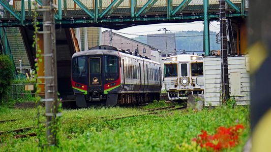 あしずりがASHIZNRIに変わるⅢ