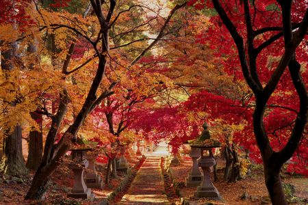 信州の秋景色～長野市・清水寺