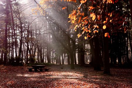 行く秋のひととき