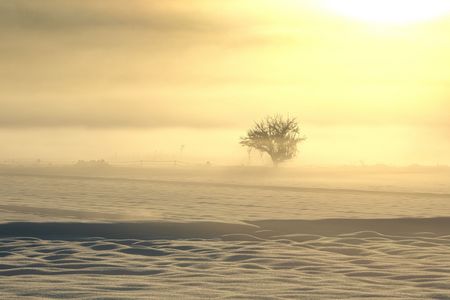 白銀の朝～白馬村冬景色