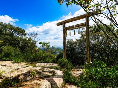山の鳥居
