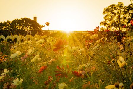 ありがとうの言葉を噛みしめながら