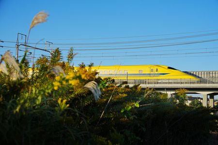 深まる秋の気配とイエロー