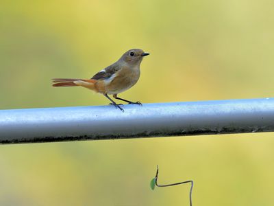 ダム湖で出会った美人たち