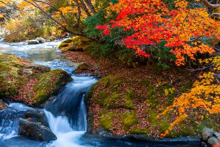 からくれなゐに