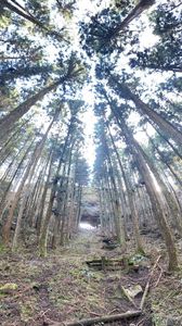 上色見熊野座神社