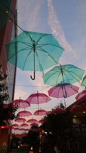 雨上がったね♪