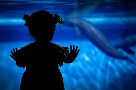 青の世界で出会った友だち