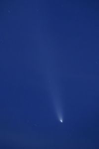 紫金山・アトラス彗星