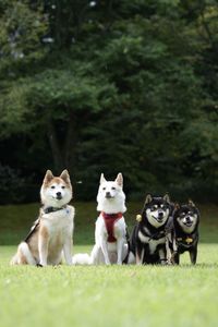 秋の初めのおでかけ