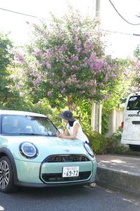 ドライブ行こうか