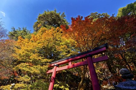 談山神社（紅葉）