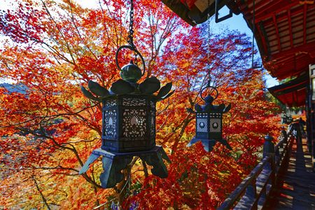 談山神社で紅葉狩り