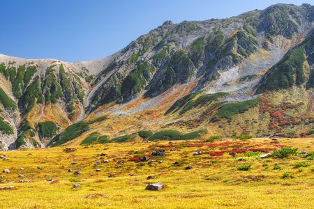 立山の秋