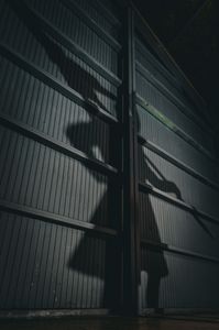 機動六課の切り込み隊長