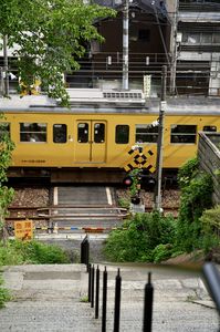 真夏と黄色い電車