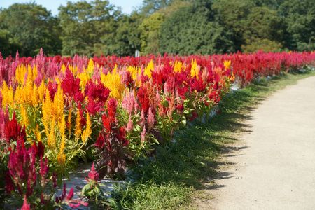 秋の訪れに彩りを