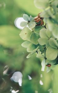 やわらかな秋の訪れ