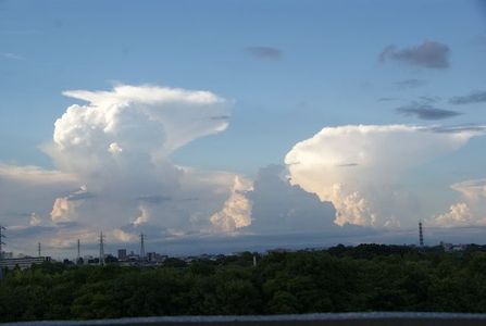 成長する金床雲