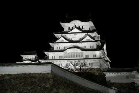 闇夜に浮かぶ白鷺城（おまけで昼バージョンも）