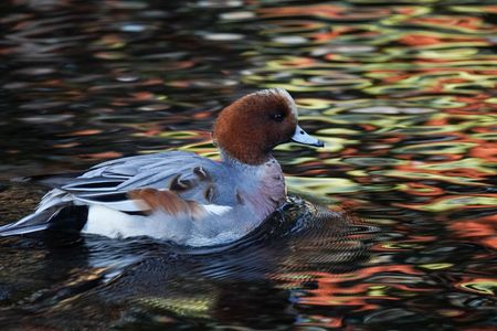 絵画のような背景