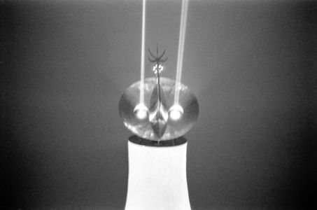 太陽の塔１９７０