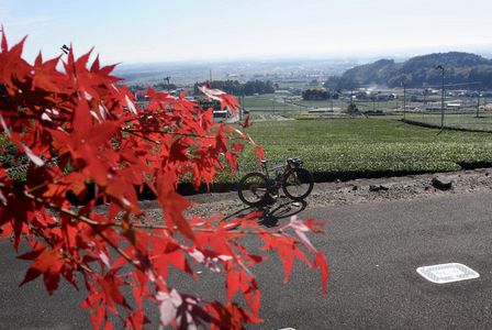紅葉ライド🍁