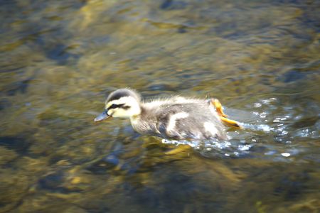 お母さん待ってーー