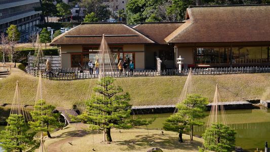 久しぶりの晴天の冬空