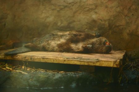 いい夢みてる？