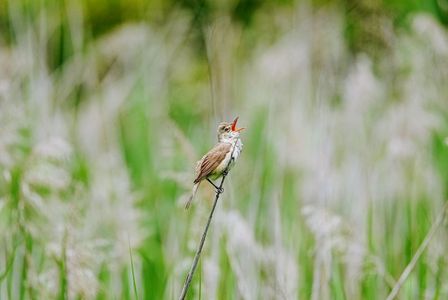 ギョギョギョ💨