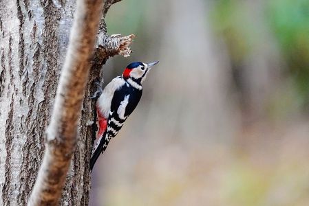 んっ、後ろから虫の良い匂いが