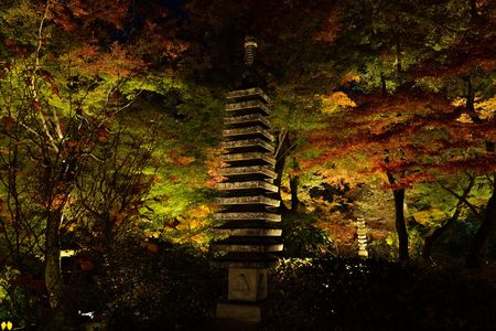 宝厳院ライトアップ