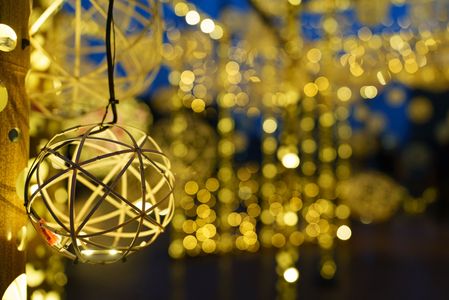 プリンセスカグヤ