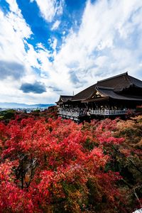 Kiyomizu-dera temple Kyoto japan