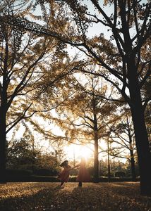 イチョウの木の下で輪舞曲