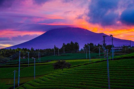 真夏の夜の焼け