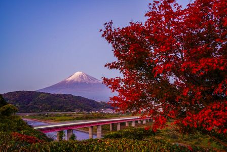 夕富士　紅葉とレーザービーム