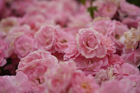 貴方を見つめてる