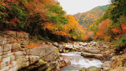 渓流の秋